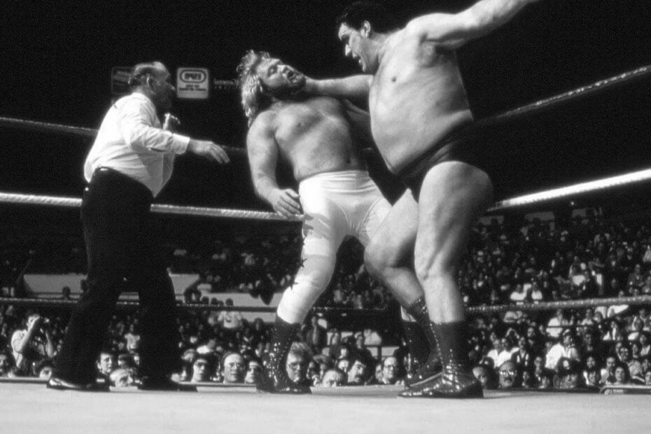 Big John Studd Wrestler