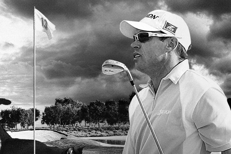 Brian Davis Golfer
