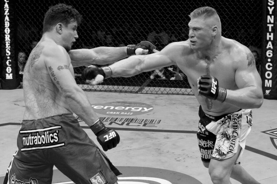 Brock Lesnar UFC Fighter