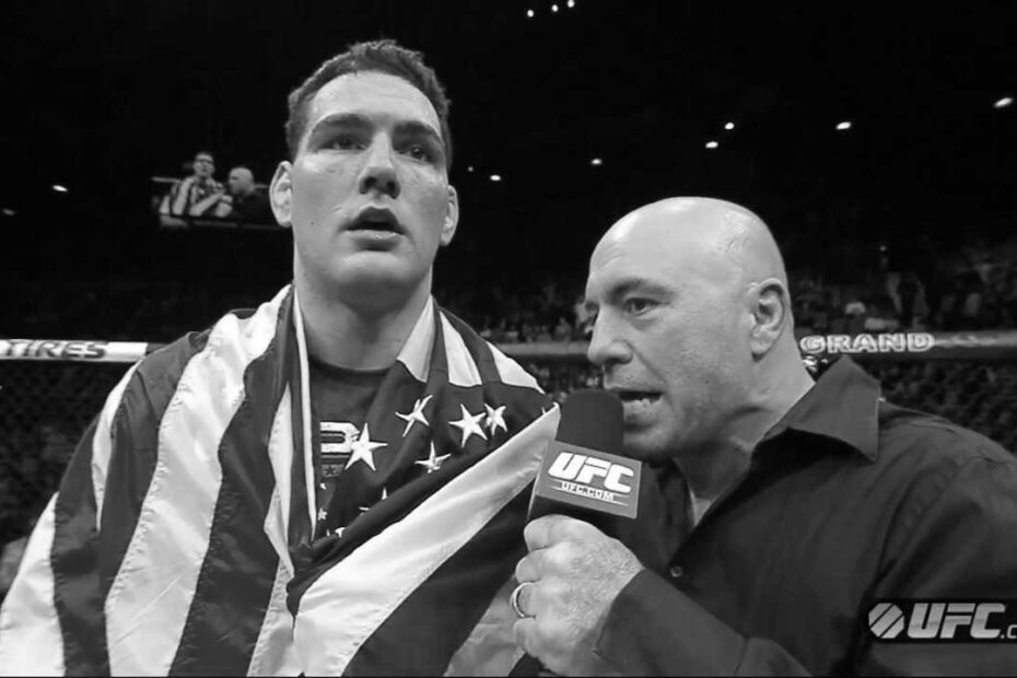 Chris Weidman UFC Fighter