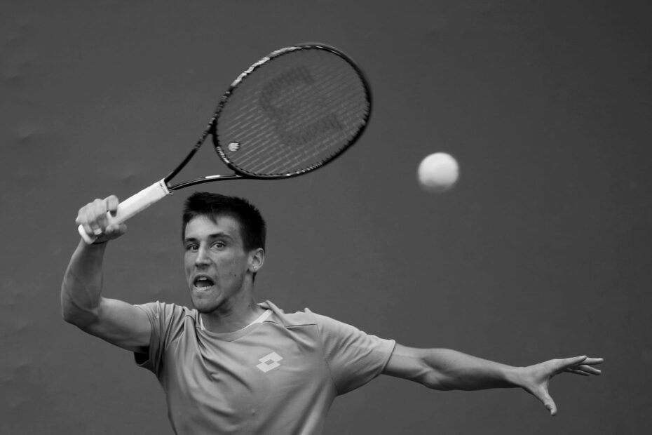 Damir Dzumhur Tennis Player