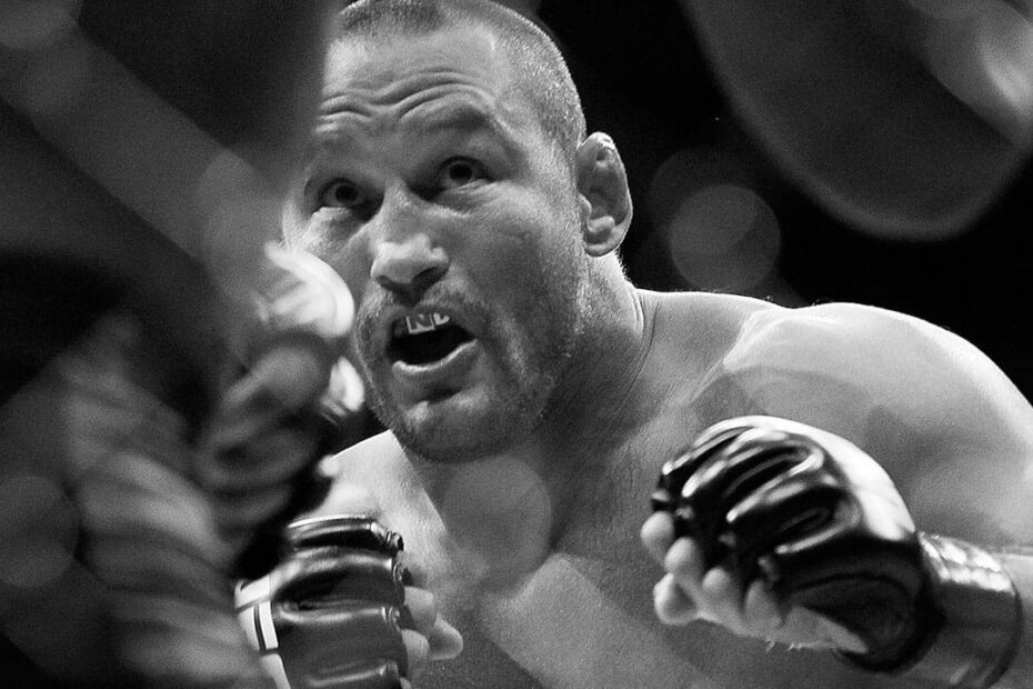 Dan Hendo UFC Fighter