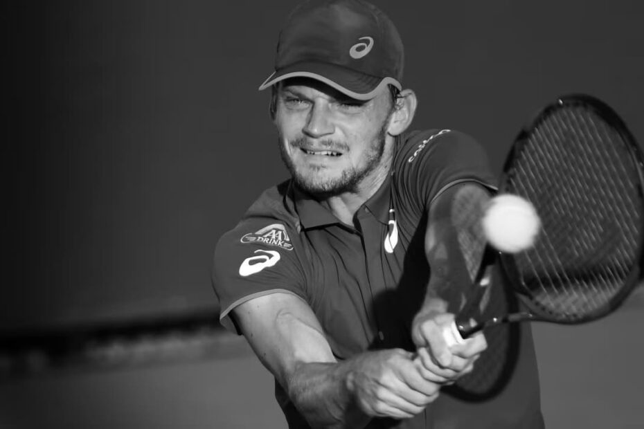 David Goffin Tennis Player