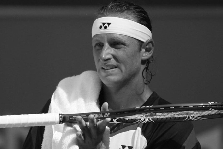 David Nalbandian Tennis Player