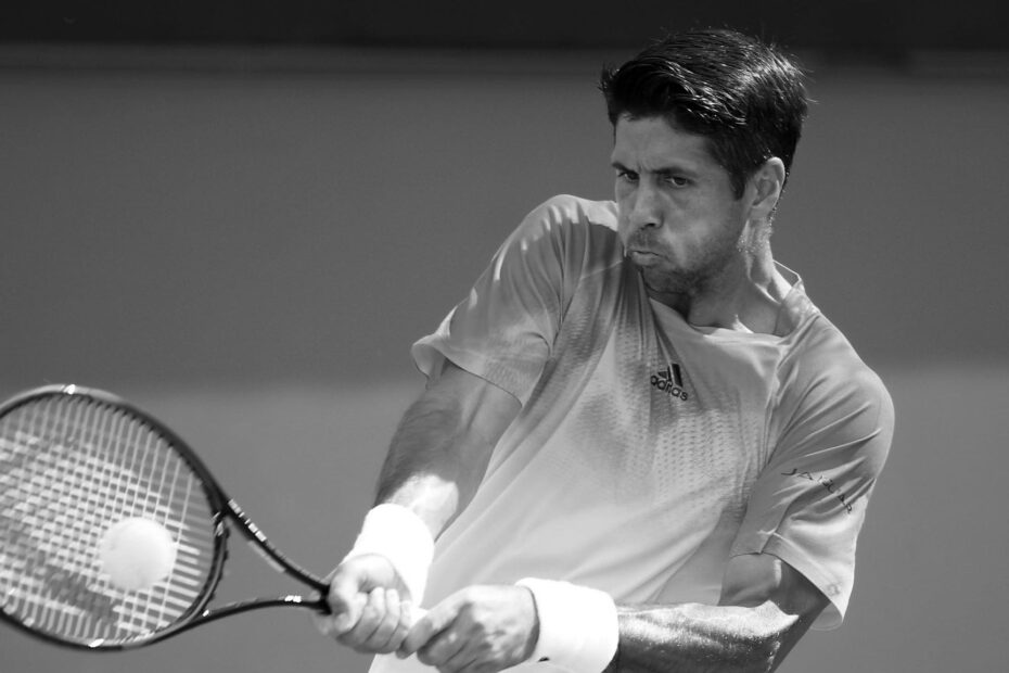 Fernando Verdasco Tennis Player