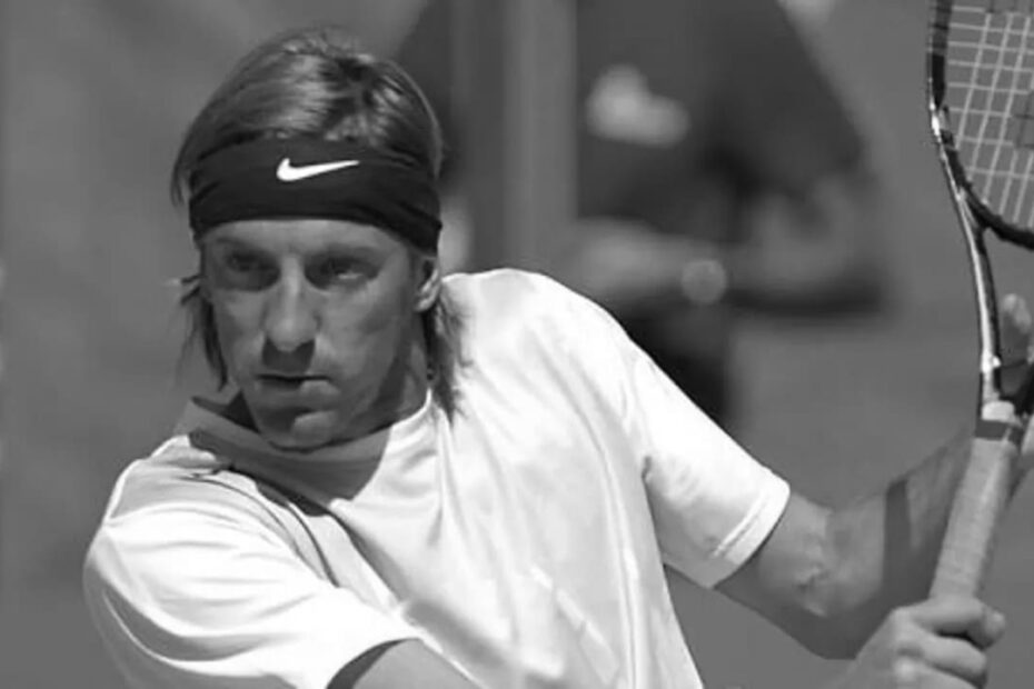 Fernando Vicente Tennis Player
