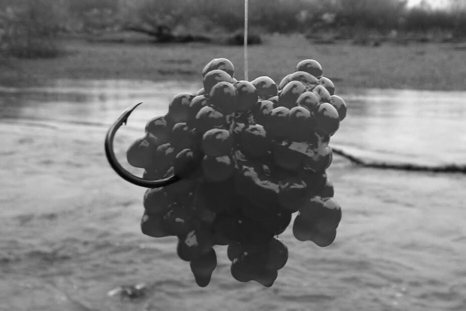 Fishing Bait Eggs