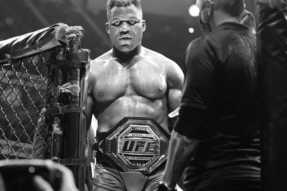 Francis Ngannou UFC Fighter