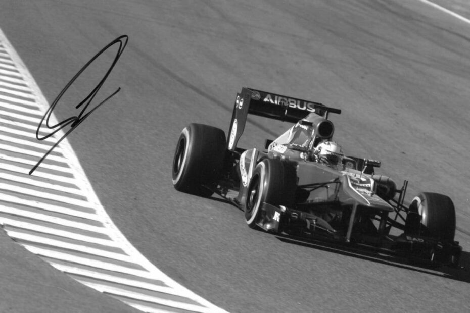 Giedo van der Garde Race Car Driver