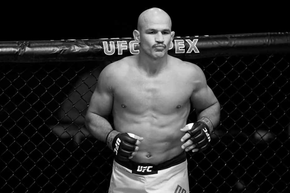 Junior Dos Santos UFC Fighter
