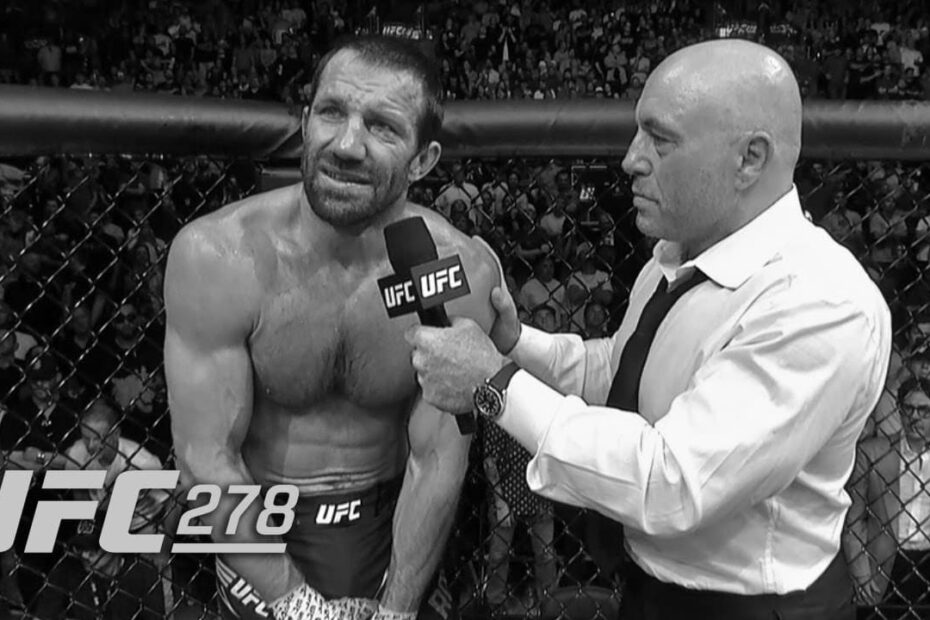 Luke Rockhold UFC Fighter