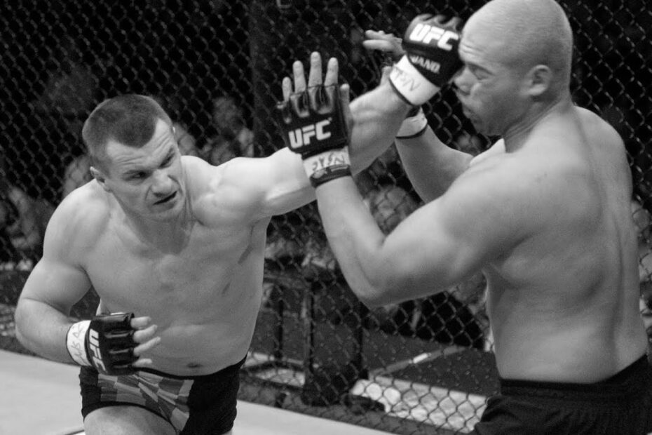 Mirko Cro Cop UFC Fighter
