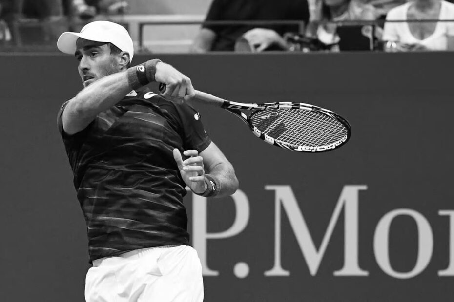 Steve Johnson Tennis Player