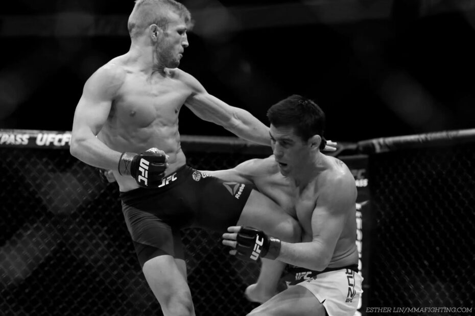TJ Dillashaw UFC Fighter