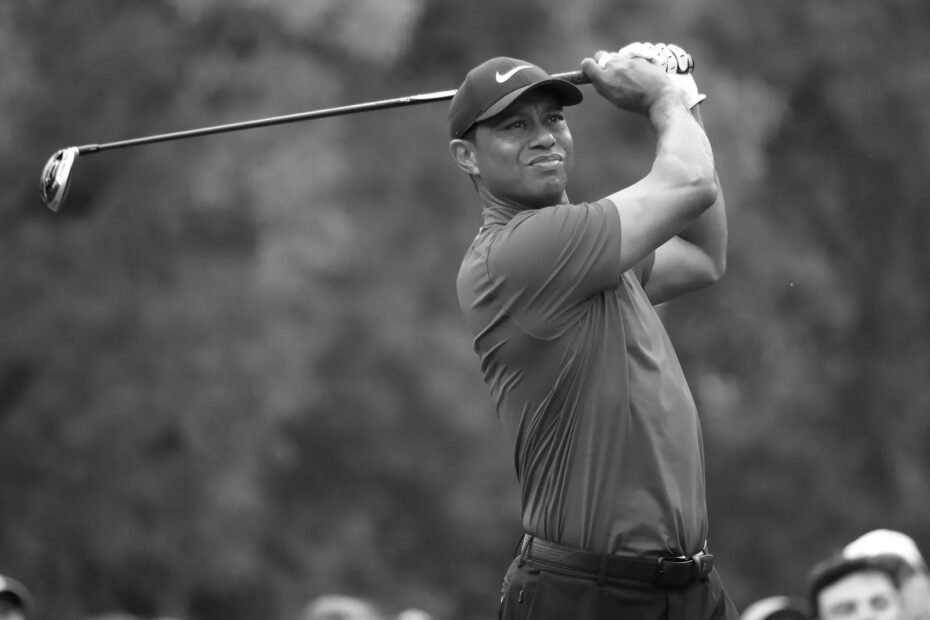 Tiger Woods Golfer