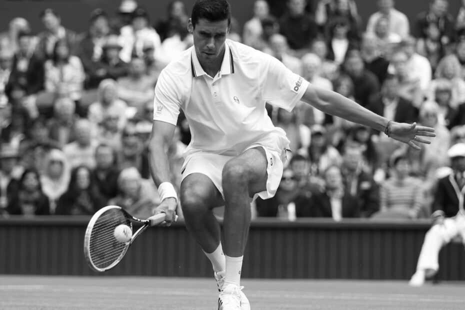 Victor Hanescu Tennis Player