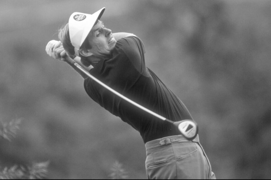 Wayne Levi Golfer