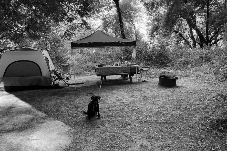 Best Albion Campgrounds