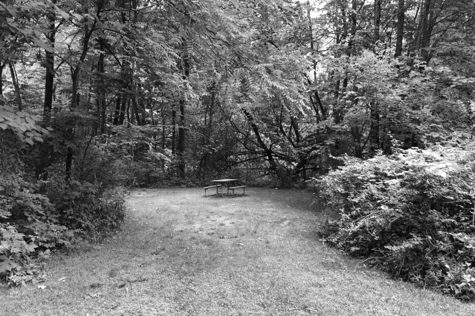 Best Apple Canyon Lake Campgrounds