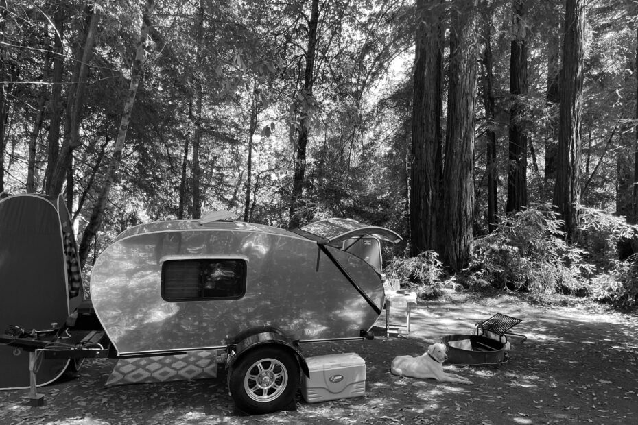 Best Aptos Campgrounds