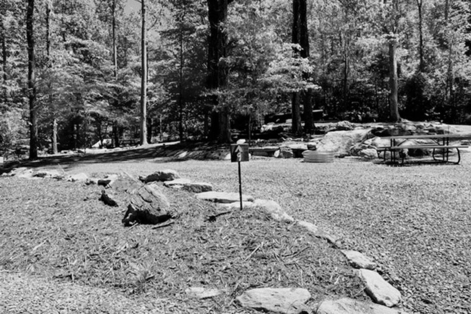 Best Asheville Campgrounds