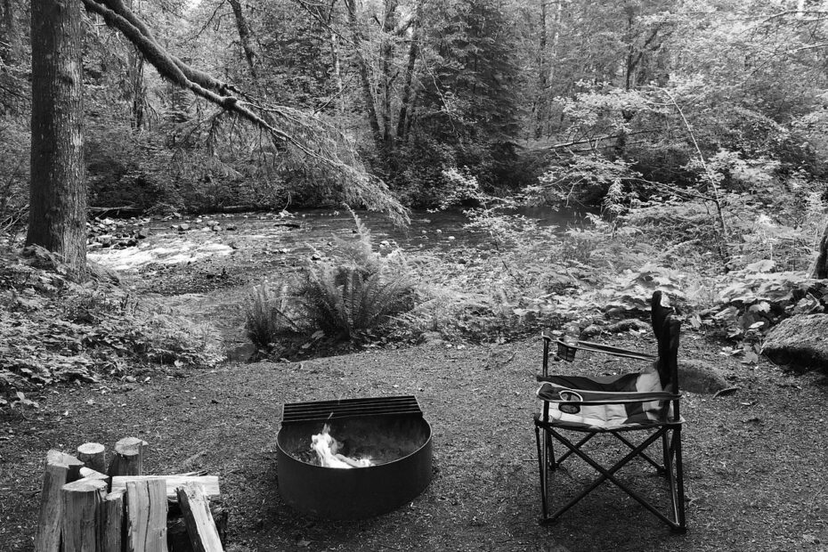 Best Ashford Campgrounds