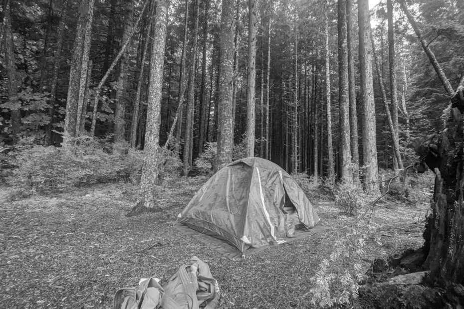 Best Bainbridge Island Campgrounds