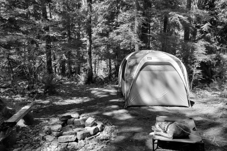 Best Bellevue Campgrounds