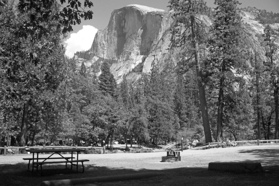 Best California Pines Campgrounds