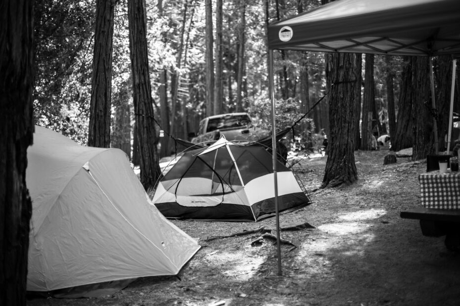 Best Camp Nelson Campgrounds