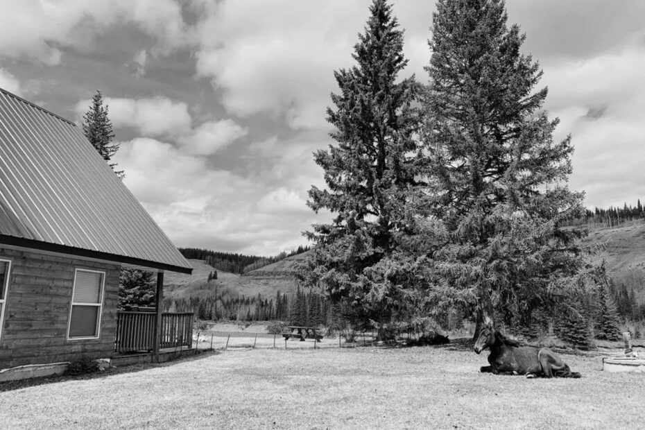 Best Canmore Campgrounds