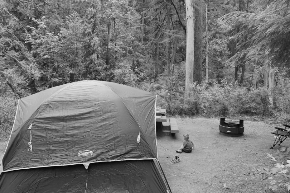 Best Cedar Creek Reservoir Campgrounds