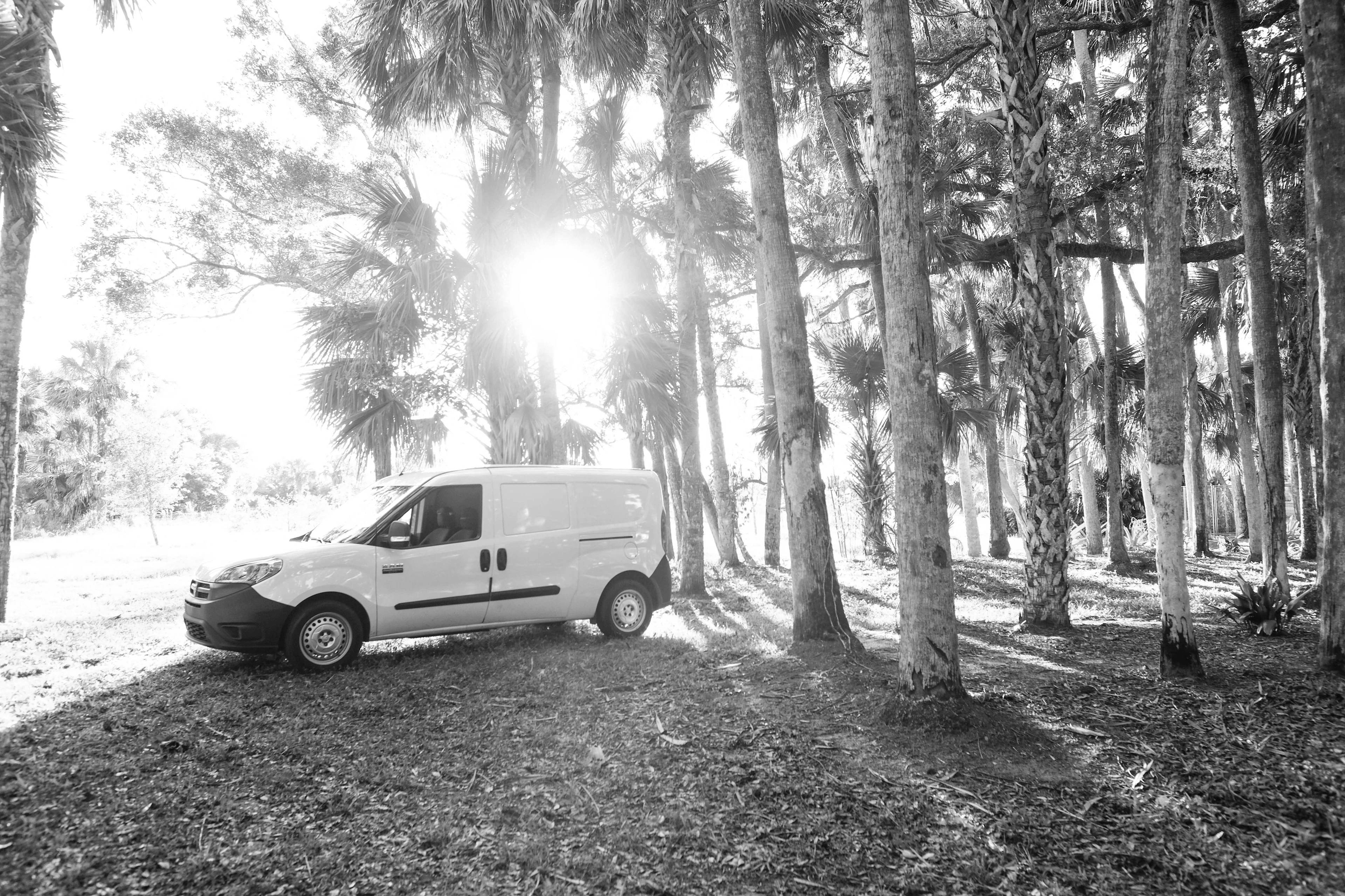 Best Clewiston Campgrounds