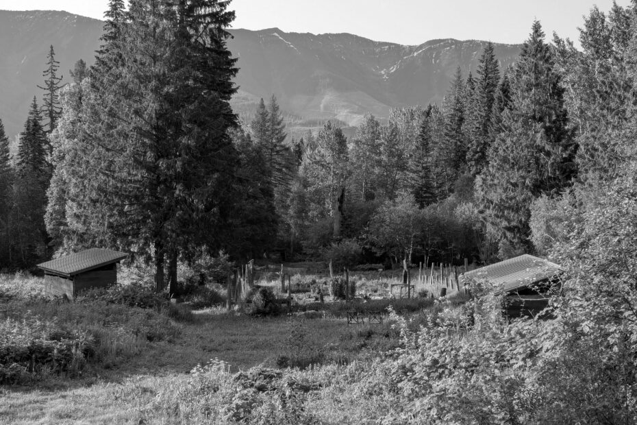 Best Cranbrook Campgrounds