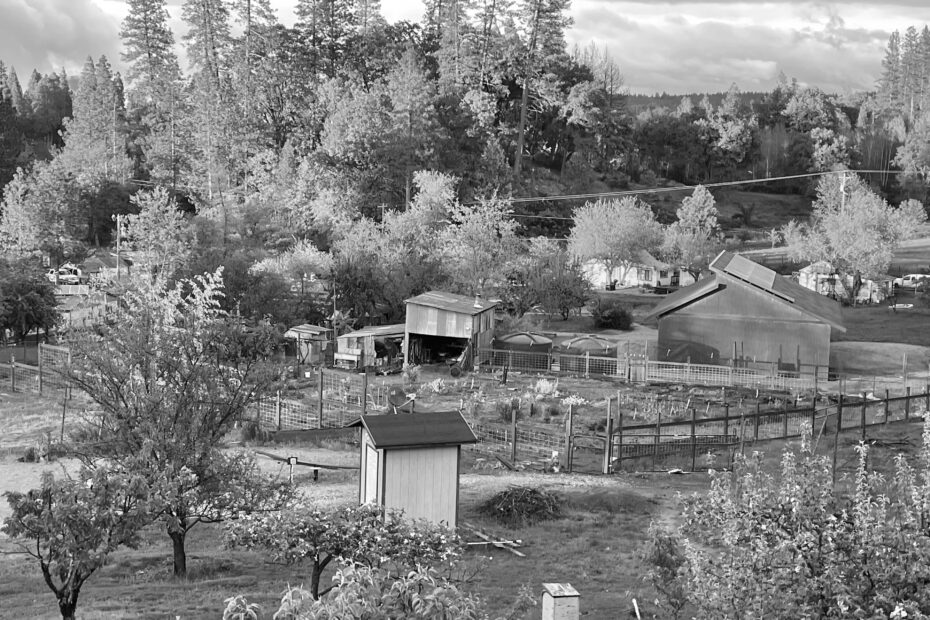 Best Davis Campgrounds