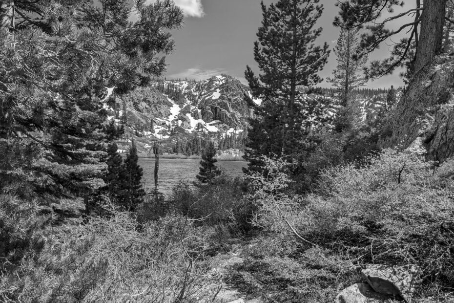 Best Downieville Campgrounds