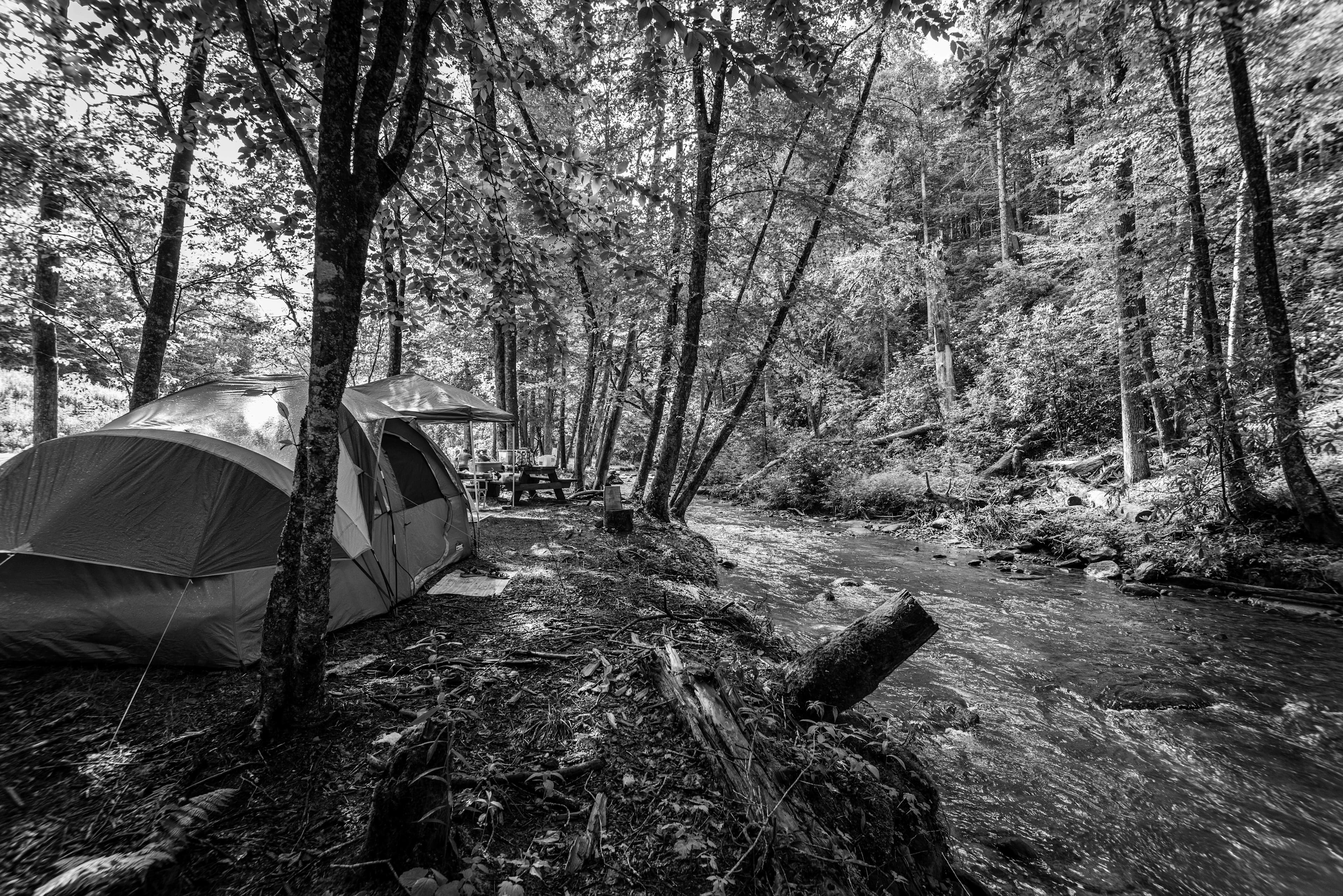 Best East Ridge Campgrounds, RV Parks, Places to go Camping