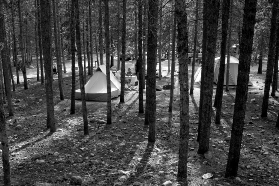 Best Estes Park Campgrounds