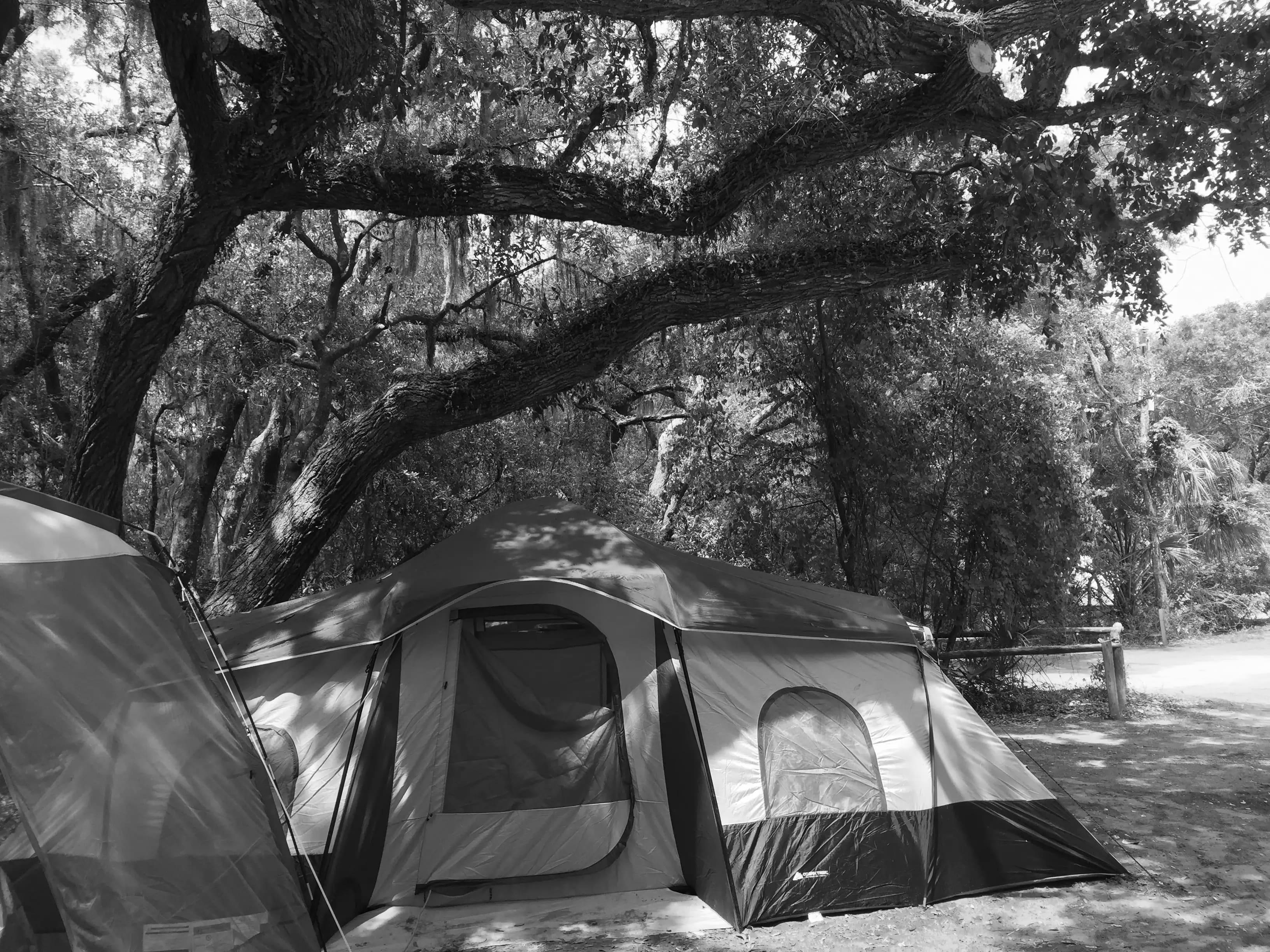 Best Fernandina Beach Campgrounds