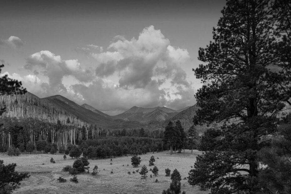 Best Flagstaff Campgrounds