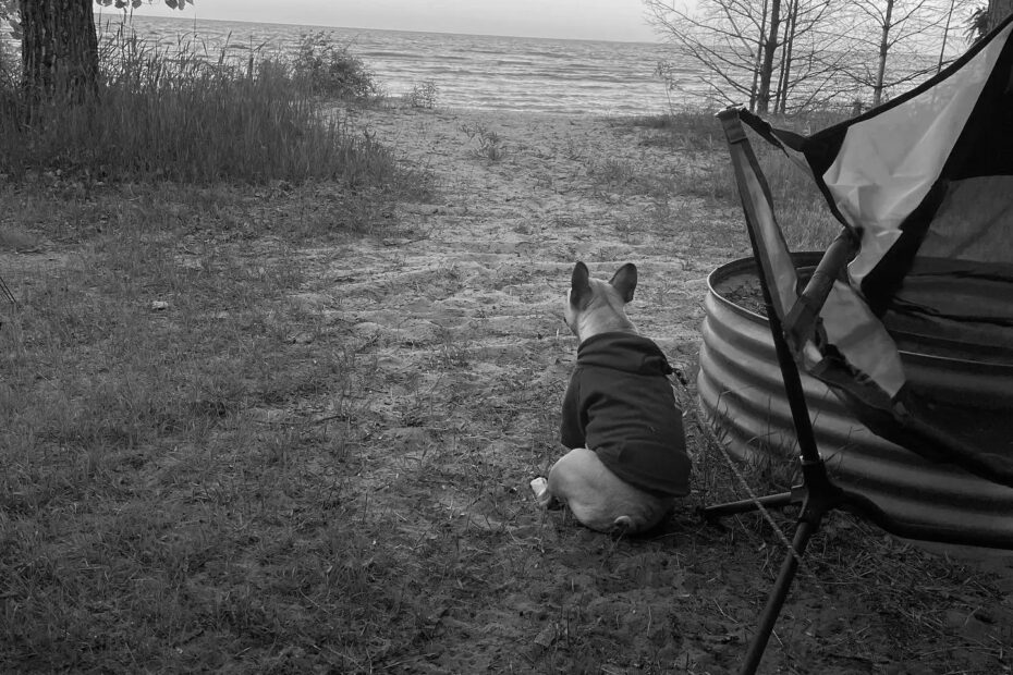Best Fox Park Campgrounds