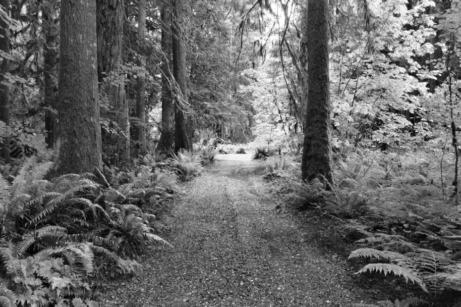 Best Granite Falls Campgrounds