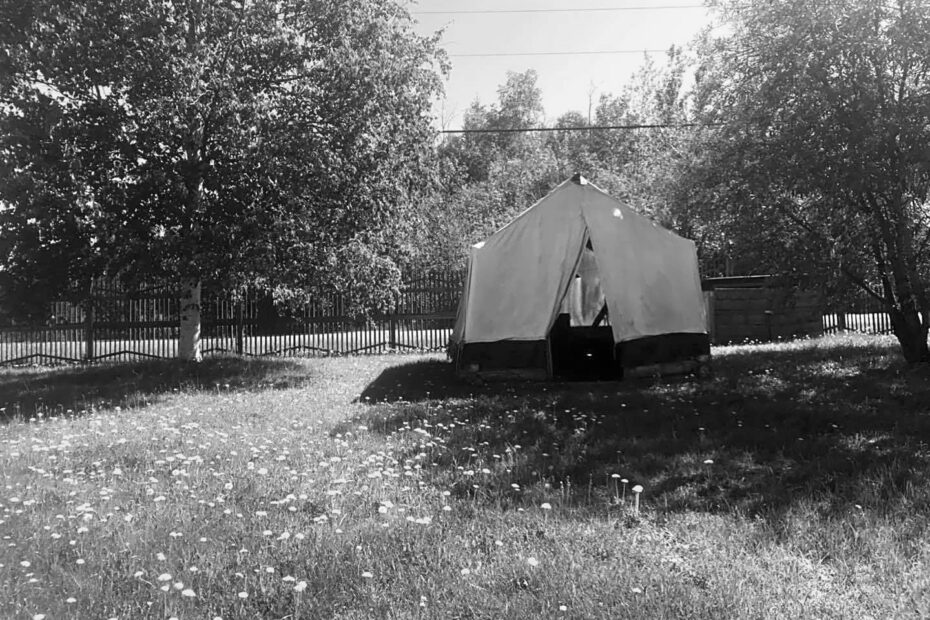 Best Healy Campgrounds