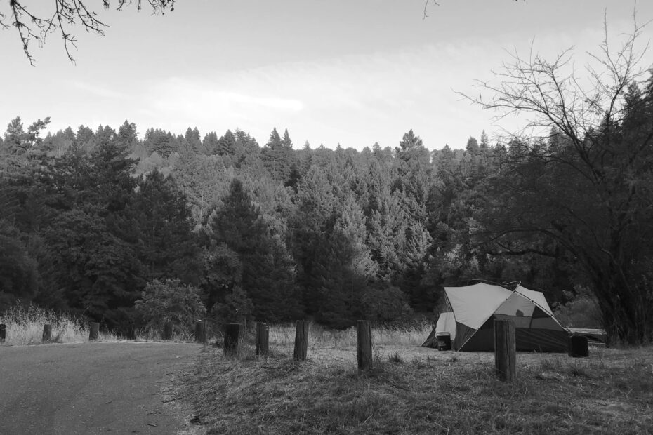 Best Jenner Campgrounds