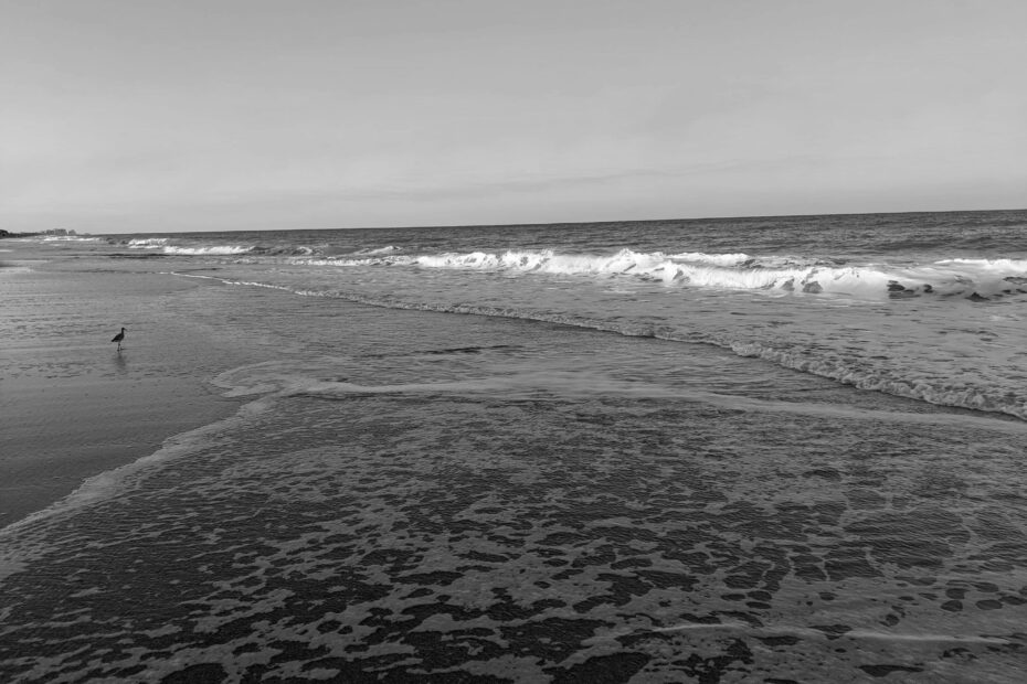 Best Jensen Beach Campgrounds