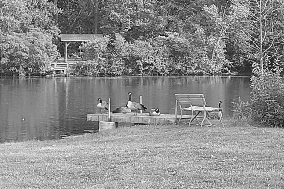 Best Lake Camelot Campgrounds