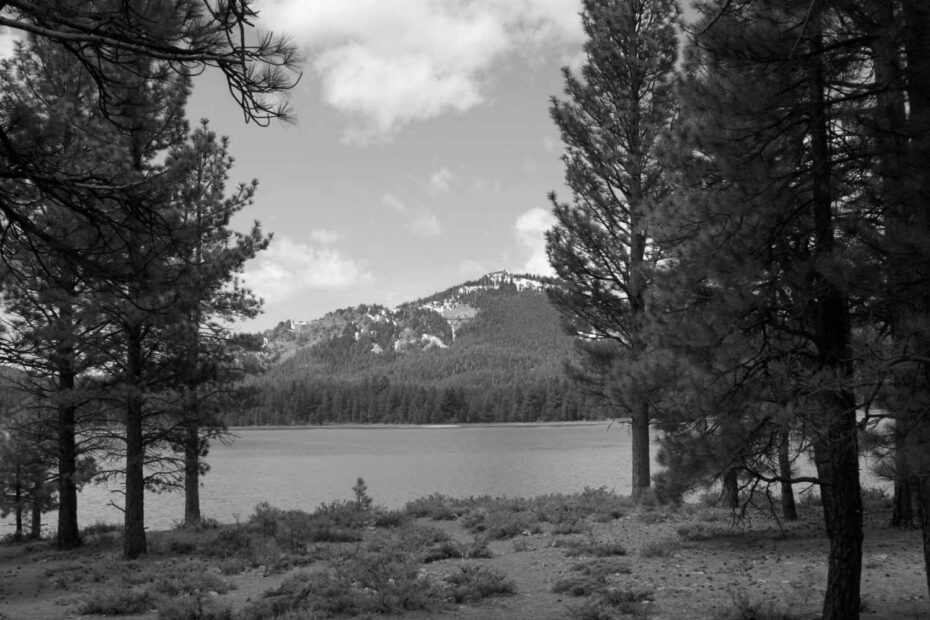 Best Lake Davis Campgrounds