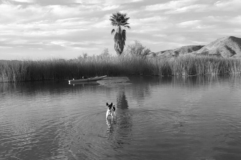 Best Lake Havasu City Campgrounds