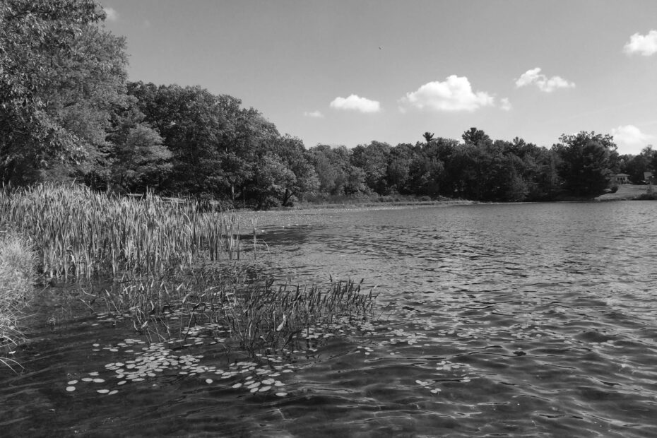 Best Lake Tanglewood Campgrounds