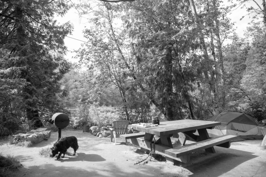 Best Leavenworth Campgrounds